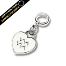 Berloque Pendurado Signo de Aquário Resinado - Prata - Áurea Acessórios