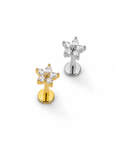 Piercing Labret Orelha Flor Zircônia Titânio PVD