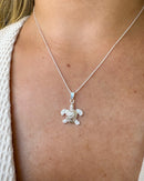 Colar Pingente Tartaruga - Semijoia Banhado a Prata