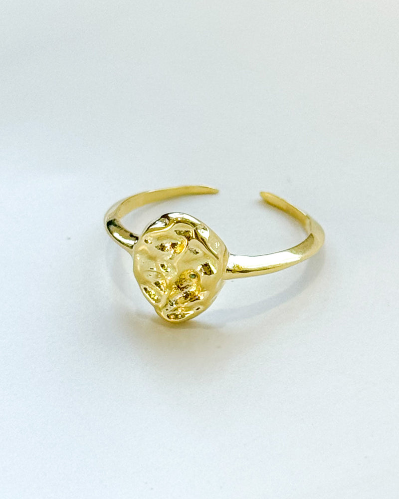 Anel Regulável Medalha Organic - Semijoia Banhado em Ouro 18k