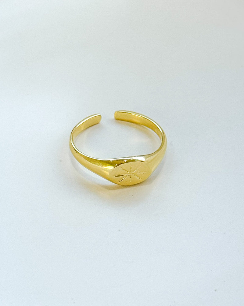 Anel Regulável Base Constelação - Semijoia Banhado em Ouro 18k