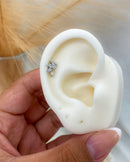 Piercing Tragus Flat Raminho Aço Inoxidável - Áurea Acessórios