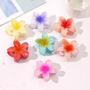 BRINDE 🎁 - Presilha de Cabelo de Flor - Cor Aleatória