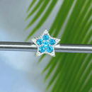 Berloque Estrela Strass Azul - Prata - Áurea Acessórios