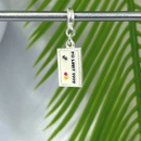 Berloque Pendurado Cartão de Crédito - Prata - Áurea Acessórios